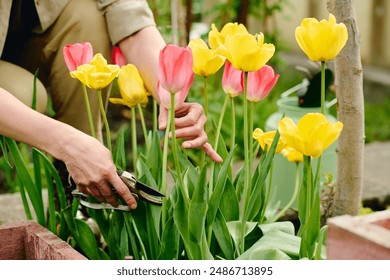 至尊龙婿叶辰萧初然全文